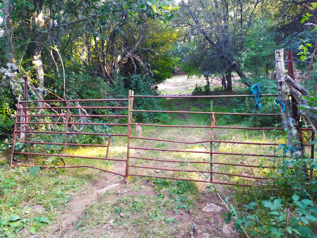 Portilla en la ruta MTB circular en Soria desde Arguijo