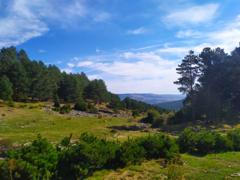 Ruta MTB circular en Soria: la fragüela