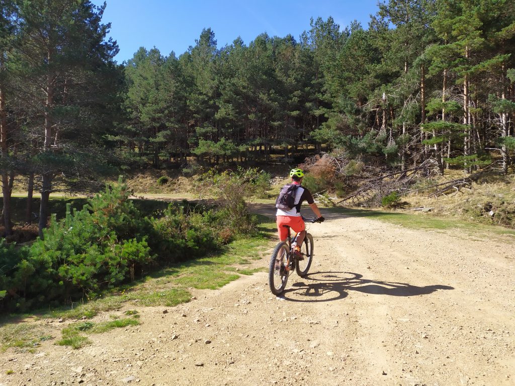 Ciclista en pista forestal, ruta MTB circular en Soria desde Arguijo