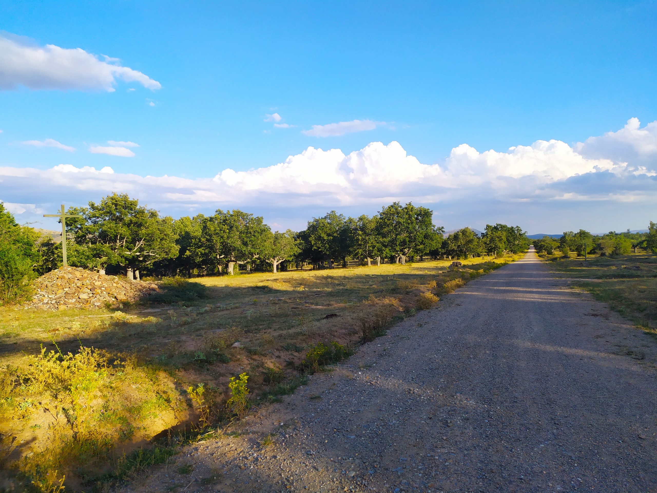 Ruta MTB circular en Soria: camino San Andrés