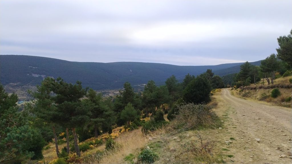 Pista de la ruta gravel al Alto de Terrazas desde Arguijo, Soria