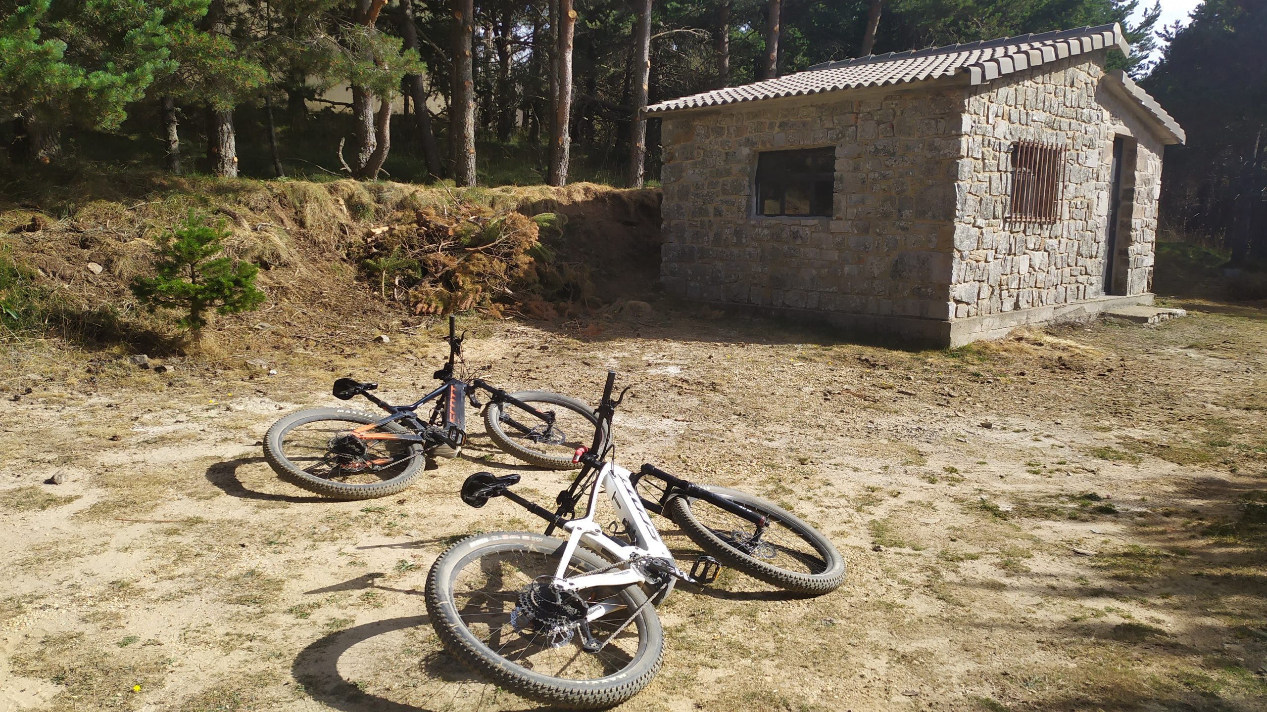 sendero de MTB en el Pinar de La Póveda de Soria, Arguijo