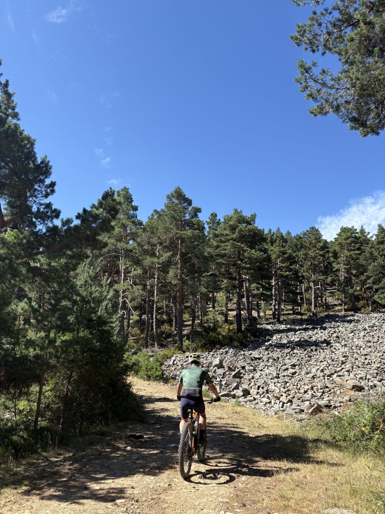 Sendero de MTB en el Pinar de La Póveda de Soria, Arguijo