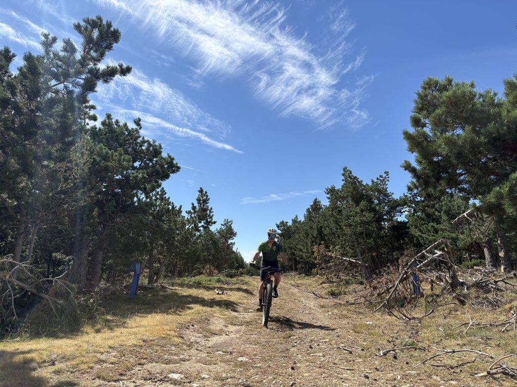 Ciclista en el Pinar de la Póveda de Soria