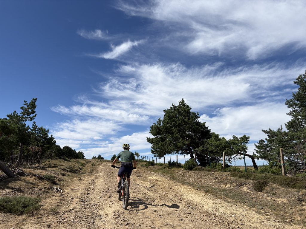 Ciclista en el Pinar de la Póveda de Soria
