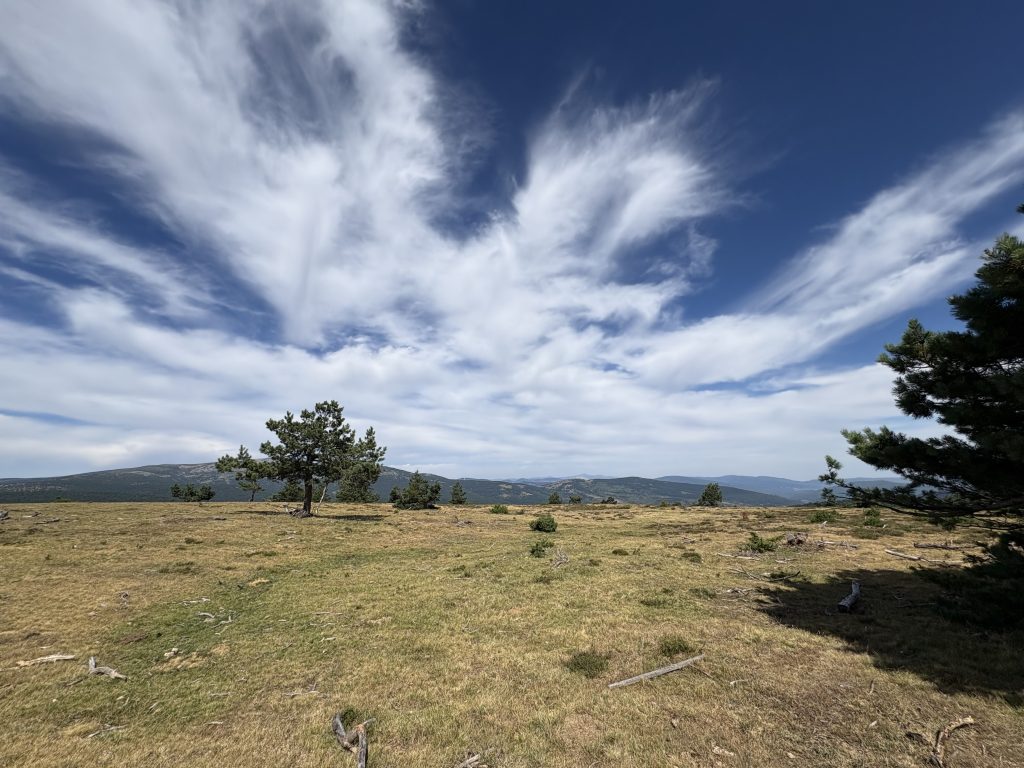 Vistas del Pinar de la Póveda de Soria