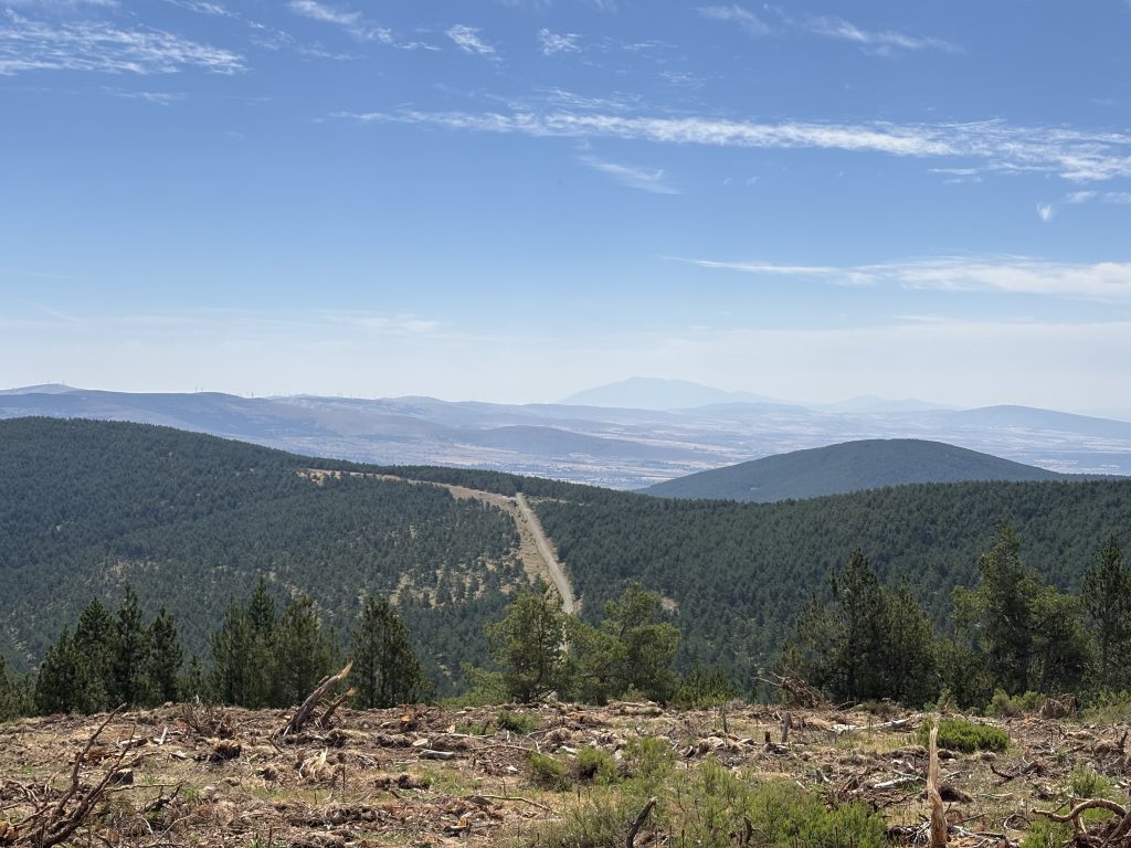 Vistas del Pinar de la Póveda de Soria