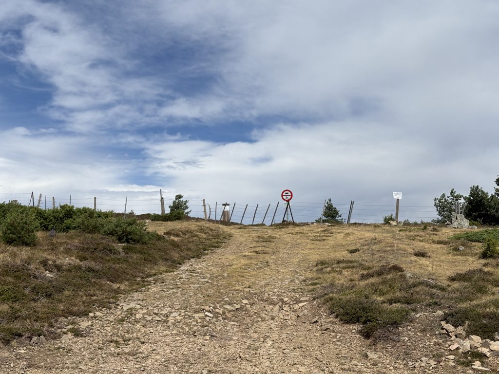 Vistas del Pinar de la Póveda de Soria