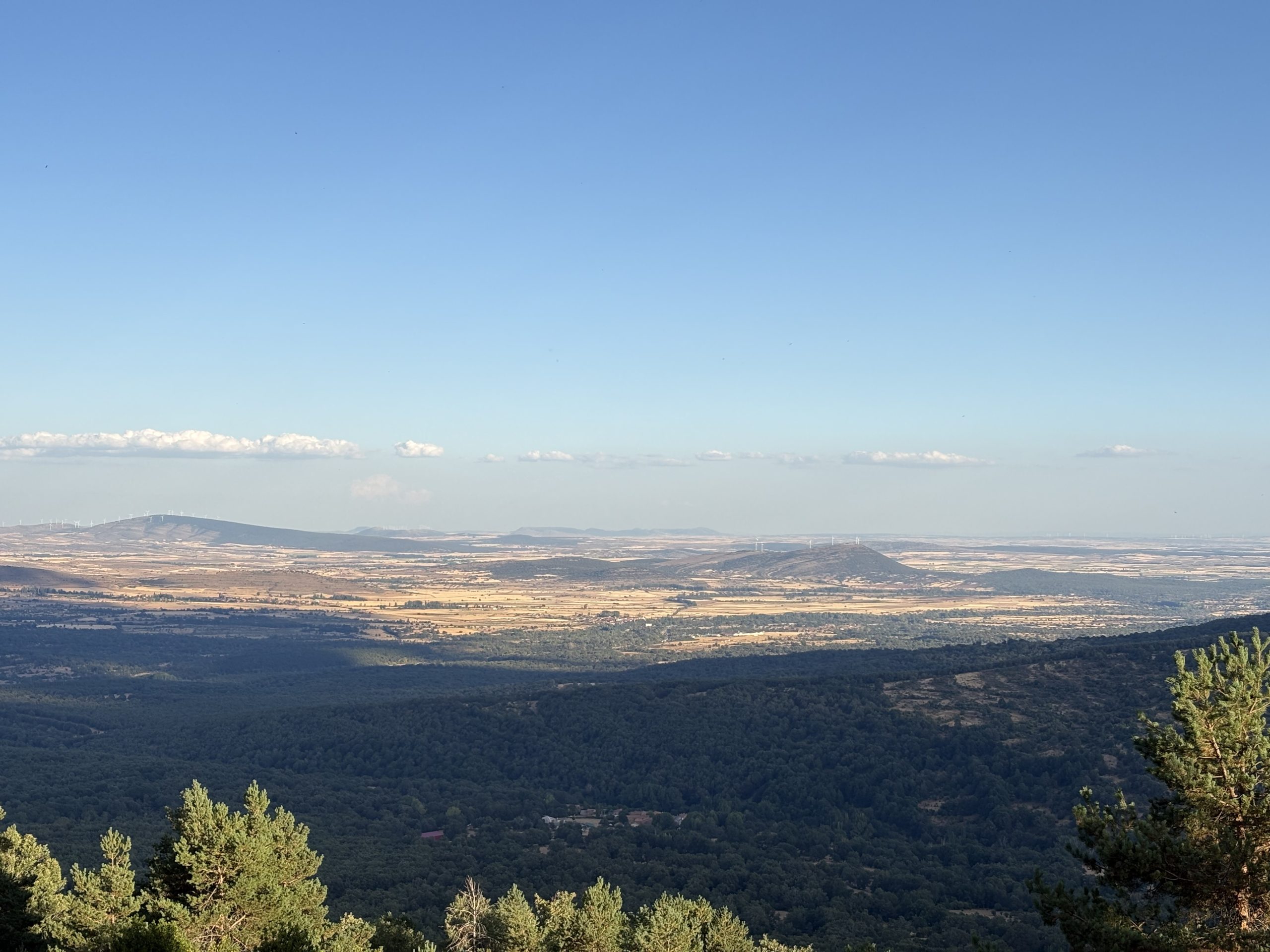 Vistas de Arguijo (Soria) durante la ruta por el pinar de la Poveda de Soria