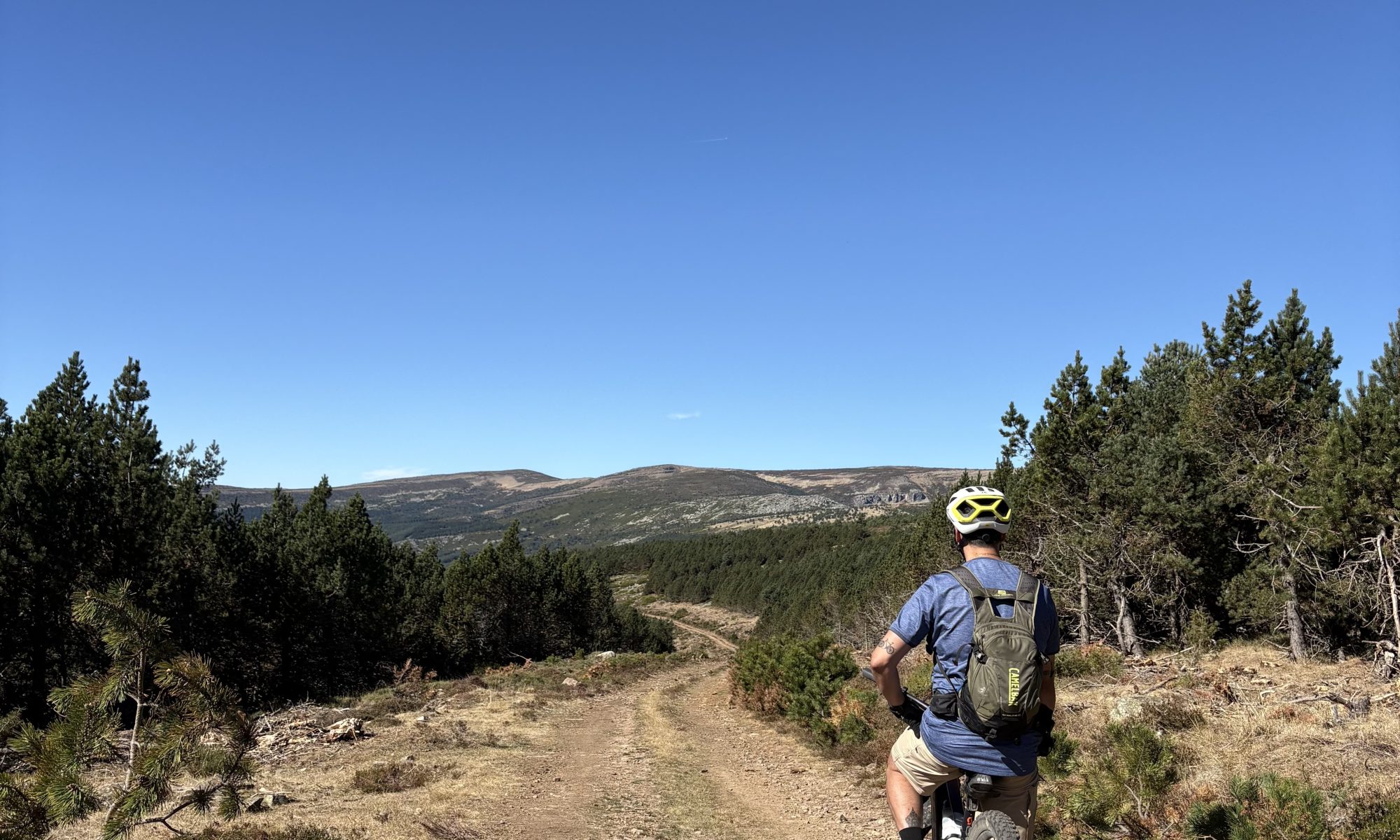 Ruta gravel por una pista forestal entre pinares cerca de Arguijo, Soria